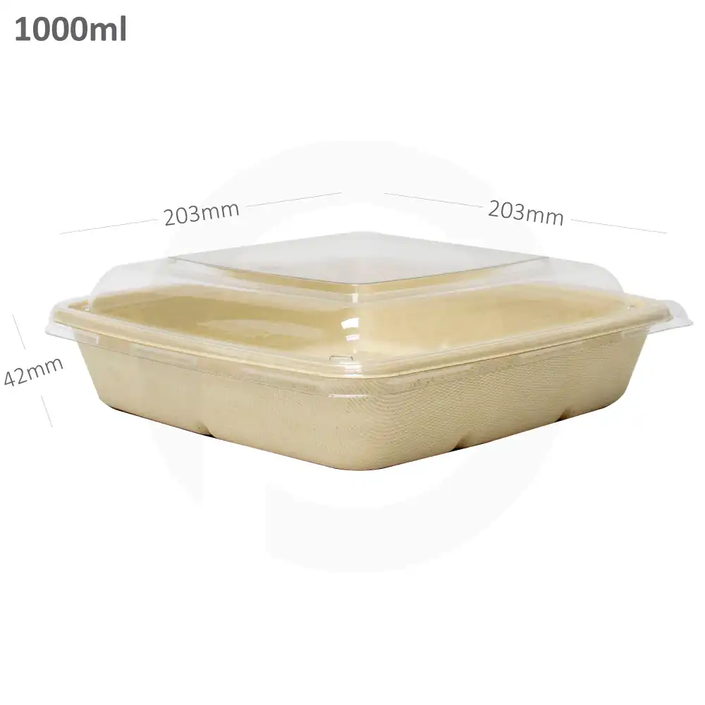 1000ml Bagasse Sugarcane Food Bowl 300/ctn