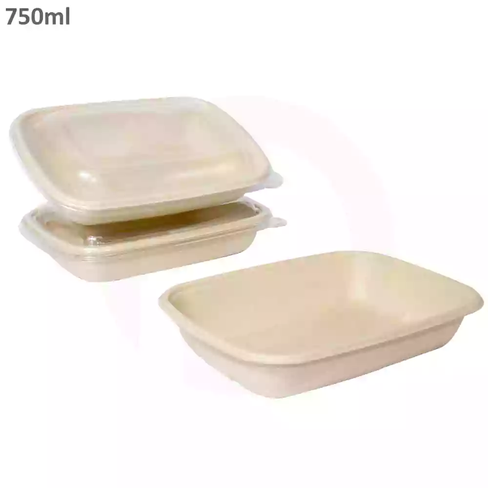 750ml Bagasse Sugarcane Food Bowl 300/ctn